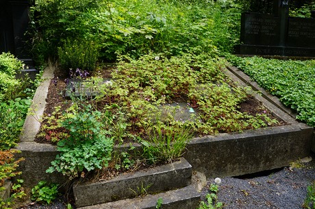 Bad Godesberg